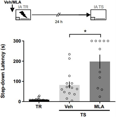 Dual role of α7 nicotinic acetylcholine receptors in the retrosplenial cortex for aversive memory acquisition and retrieval